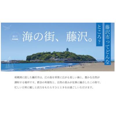 ふるさと納税 藤沢市 1切れ約130g!大きな漬け魚 西京漬け 4切 |  | 03
