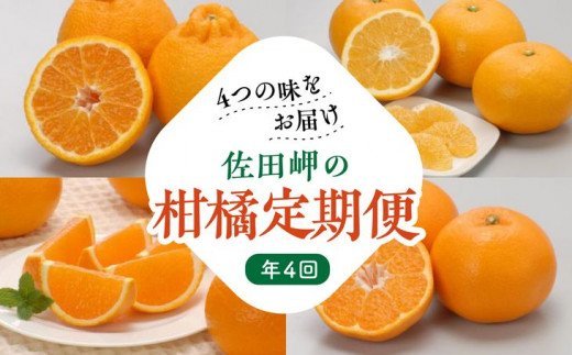 【定期便】2024年度 佐田岬の柑橘定期便（年4回）｜柑橘 定期 各5kg 愛媛県産（12月、2月、4月、6月発送）（令和6年度産）　※離島への配送不可