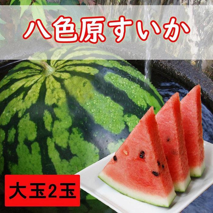 【ふるさと納税】【先行予約】八色原西瓜 大玉2玉【2026年7月下旬発送】【お届け日時指定不可】