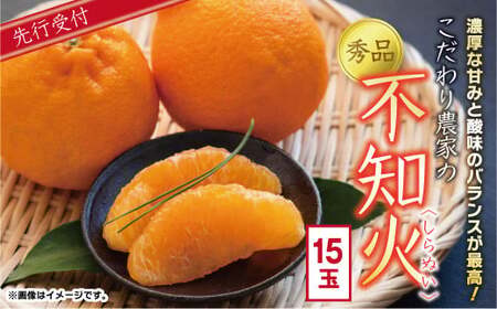こだわり農家の 秀品 不知火 15玉 （ 大玉 ） 蜜柑 みかん ミカン 果物 フルーツ ギフト 贈り物 プレゼント 柑橘 くだもの 【2026年4月上旬より発送開始予定】