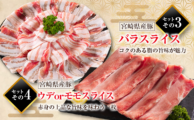 《総量10kg以上!!》豚肉 3回 隔月 定期便 バラエティセット 宮崎県産 食べ比べ 国産【E273】