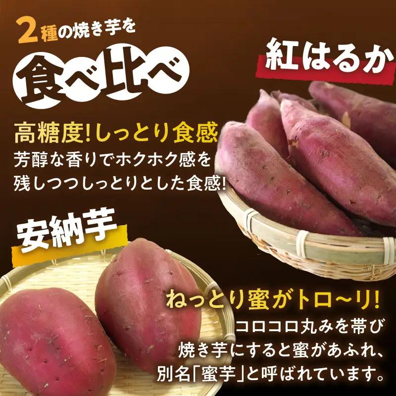 冷やし焼き芋(安納芋・紅はるか) 合計800g さつまいも イモ 野菜 国産_T016-0085