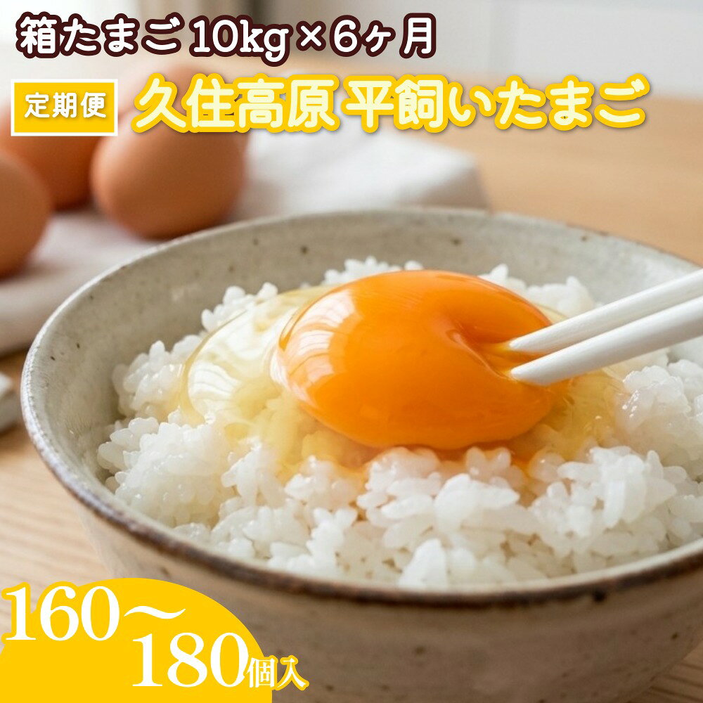 【ふるさと納税】【定期便】久住高原 平飼いたまご 箱たまご 10kg×6ヶ月 160~180個入