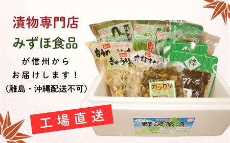 信州の漬物セット 【9種類】 野沢菜漬物 つけもの Bl-002