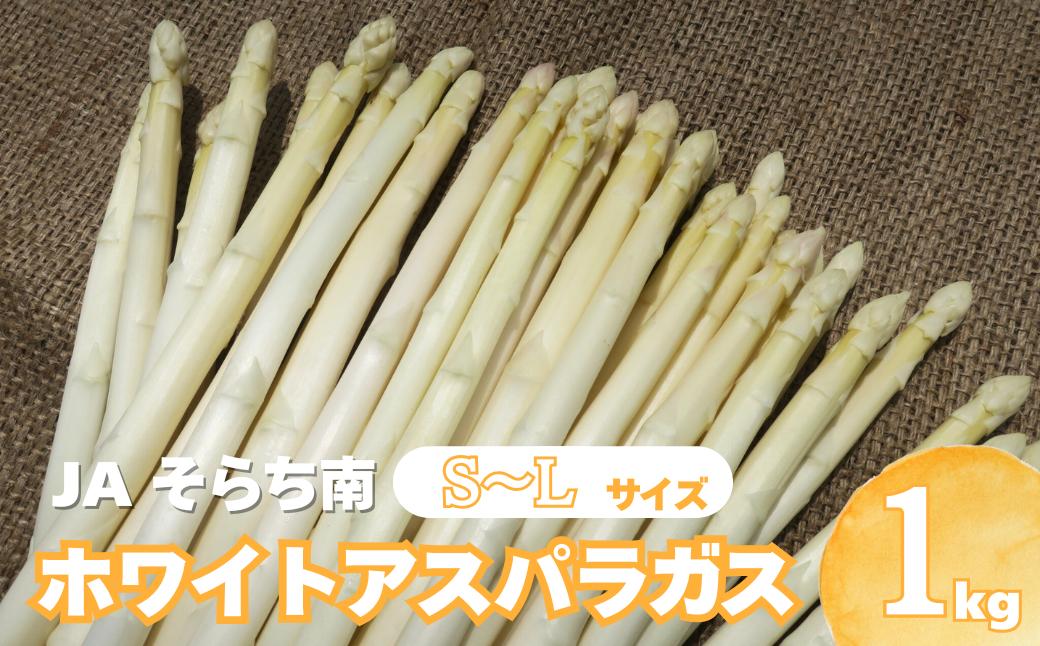 JAそらち南の味覚「ホワイトアスパラガス」S〜L　1kg前後