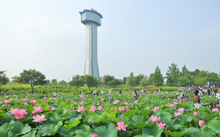 No.493 観光タクシーで行く！6時間行田満喫フルコース（3名様）
