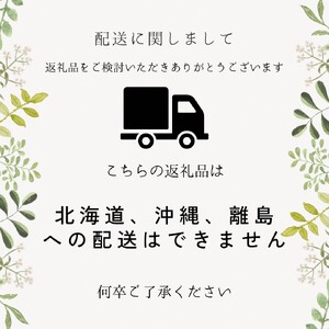 ＜すだ農園＞2年生 苗木 カリフォルニア大実ザクロ（拓榴）[地中ポット苗 2024年] ※北海道・沖縄・離島への配送不可 ※2025年12月上旬～2026年5月下旬頃に順次発送予定