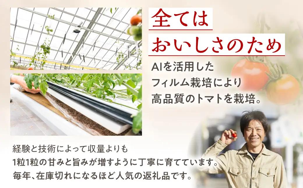 【トマト】≪先行予約≫糖度10度以上  Ban トマト