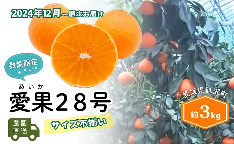 
            【農園直送！】訳アリ 愛果28号 サイズ不揃い 3kg ハウス栽培 12月から順次発送 家庭用 砥部町 サイズお任せ みかん 数量限定 愛媛 箱[№5310-0249]
          