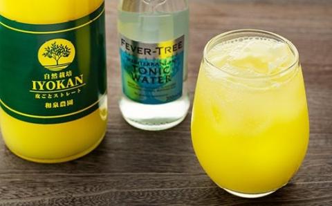 【2026年1月中旬より発送】【自然栽培】宮内伊予柑 皮ごとストレート720ml1本・トニックウォーター200ml4本セット 果汁100％ ジュース 愛媛県産 ノンアルコール