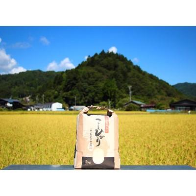 ふるさと納税 売木村 【令和7年産】うるぎ米 5kg |  | 01