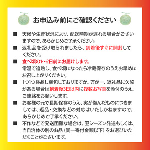 【ふるさと納税】先行受付＜メロン 2玉 合計約3kg＞ サンライズメロン 赤肉 めろん 赤 果物 フルーツ 果実 家庭用 旬 ちょっと訳あり【常温】高知県 佐川町 はちきんの店 ＜2026年7月中旬頃