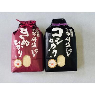 ふるさと納税 南丹市 契約栽培米　京都丹波産こしひかり100%(5kg)・きぬひかり100%(5kg)