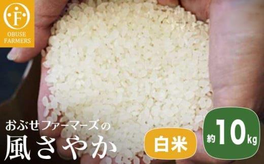 風さやか 白米  約10kg ［ おぶせファーマーズ ］ お米 コメ おこめ ご飯 精米 長野県産  ［FK-18］