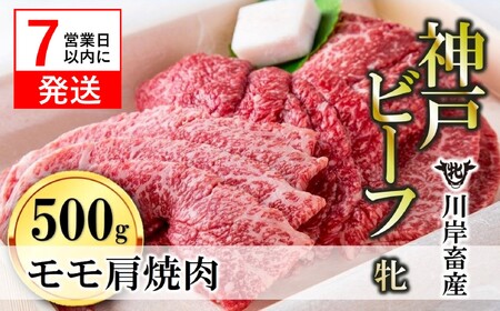 神戸ビーフ【7営業日以内発送】モモ肩焼肉用500g 