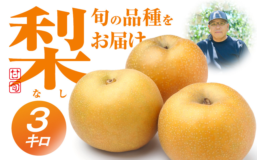 
                  ≪2026年 先行予約≫朝倉さんの『小島梨』 3kg　~ 9玉 幸水 凛夏 秋麗 あきづき 甘太 なつしずく あきあかり  ほしあかり 新品種 など 産直直送
                