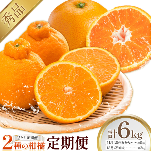 【2ヶ月定期便】2種の柑橘定期便 計6kg 日本フルーツ株式会社 《11月上旬-12月末頃出荷》 熊本県 長洲町 温州みかん 不知火 果物 秀品 フルーツ スイーツ デザート ギフト ご贈答