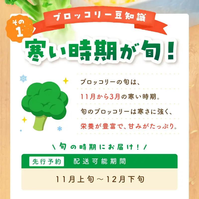 先行予約 もりもりブロッコリー 約2kg | 2026年11月上旬～発送