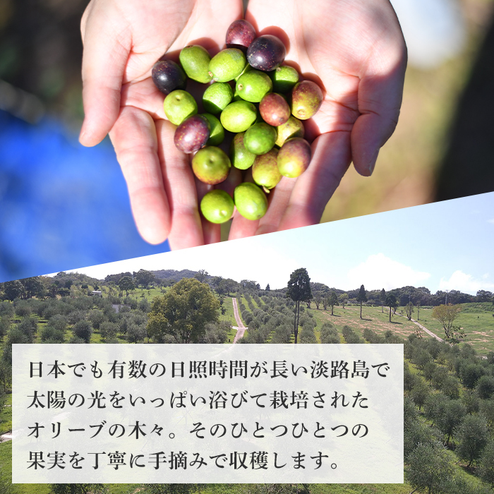 3本セット！「Virgin Valley 淡路阿利布」91ｇ（エキストラバージンオリーブオイル）【2023年度産】_イメージ3