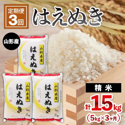 ふるさと納税 山形市 【定期便3回】山形産 はえぬき 5kg×3ヶ月(計15kg) FY25-483