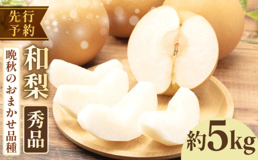 【2026年先行予約】 千葉県産 和梨 品種おまかせ 約 5kg 秀品 梨 新高 王秋 愛宕 等 晩生品種 晩生 晩秋 なし 和梨 果物 果実 くだもの フルーツ 旬の果物 2026 国産 千葉 千葉産 新鮮 鮮度 旬 厳選 贈答 贈り物 ふるさと納税 産地 送料無料 千葉県 旭市 齋藤園 ste007