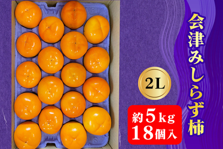 会津身しらず柿 2L (18個入り) 約5kg 果樹園 壱心産｜会津若松 果物 フルーツ 柿 身知らず みしらず かき カキ 会津身不知柿 令和7年 2025年 旬 [0949]