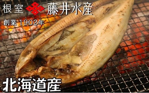 
B-42096 開きホッケ 1枚×14P
