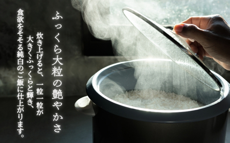 《令和7年産新米・先行予約》創業百年・老舗米屋 羽生惣吾商店 千葉県産ふさこがね 精米 5kg 定期便3回【新米 ふさこがね 精米 令和7年産】（千葉県神崎町）[026-a009]