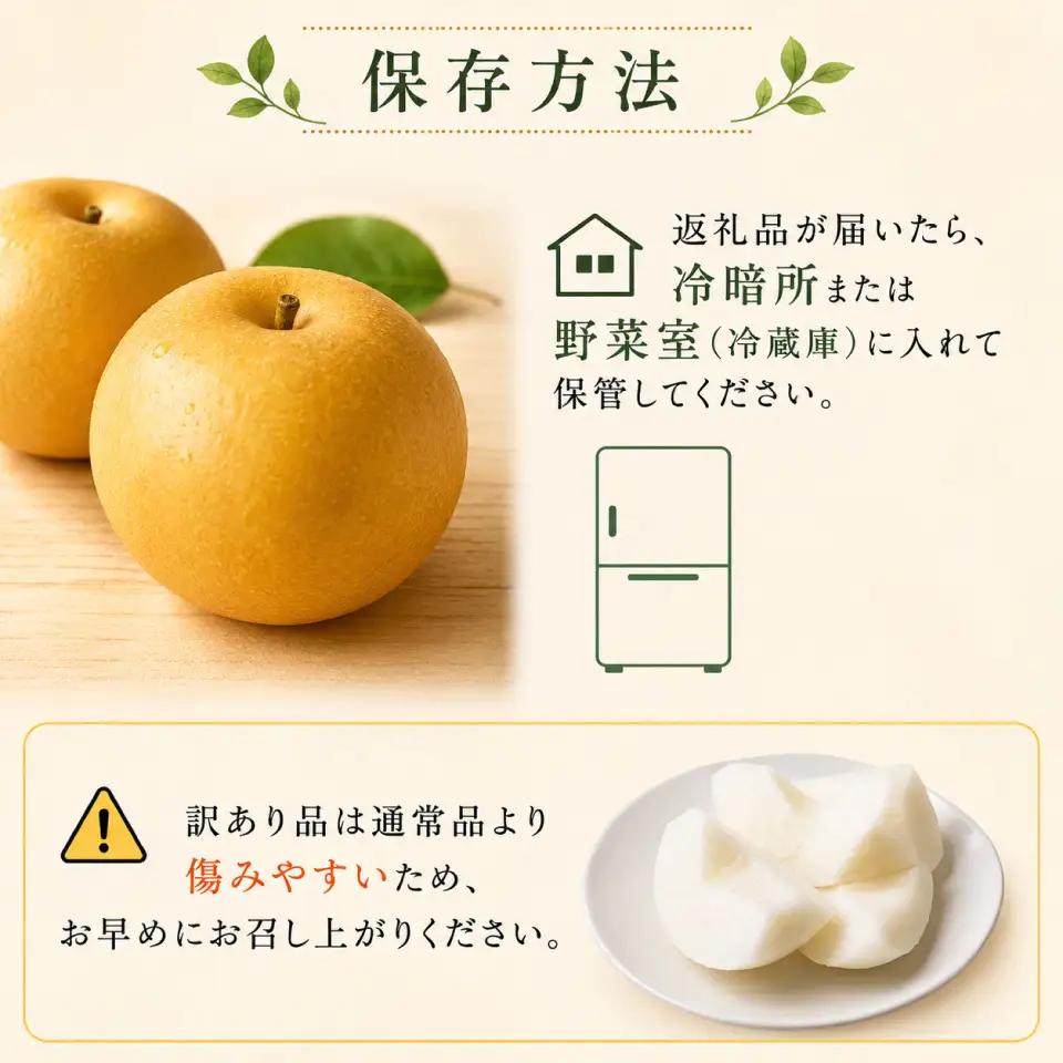 ≪訳あり品≫新高梨 4～6玉 （約 4kg）【常温】【10月中旬～10月下旬発送】2026年秋発送