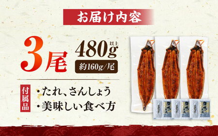 福岡県産 うなぎ 蒲焼 大3尾 合計 480 g（1尾あたり 160g以上）《豊前市》【福岡養鰻】 国産 うなぎ 大[VAD003] うなぎ 鰻 鰻の蒲焼 ギフト鰻 国産鰻 うなぎ 鰻 鰻の蒲焼 ギフ