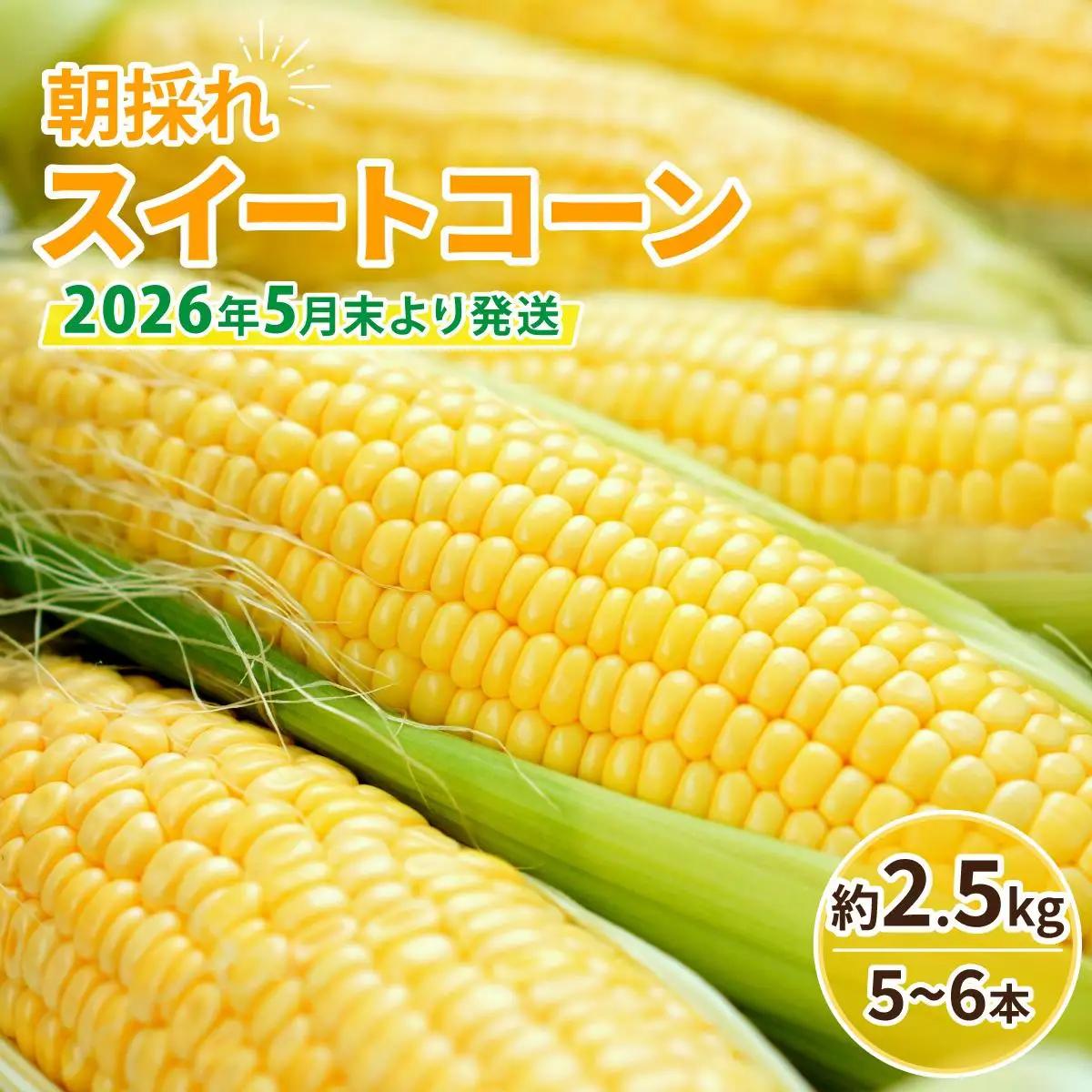【先行予約】朝採れ スイートコーン 約2.5kg（5～6本入り）2026年5月末より発送