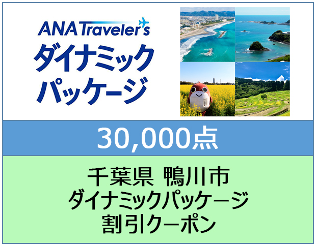 千葉県 鴨川市 ANAトラベラーズダイナミックパッケージ割引クーポン 30,000点分