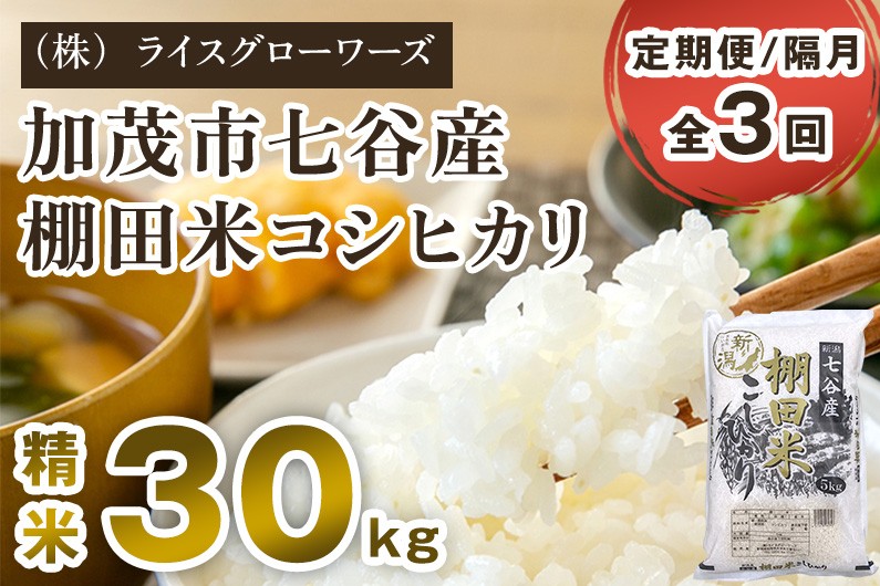 
                  【令和7年産】【定期便3回隔月お届け】新潟県加茂市 七谷産 棚田米コシヒカリ 精米30kg（5kg×6）《順次出荷》 白米 （株）ライスグローワーズ
                