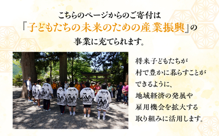 《返礼品なし》50000円 岐阜県白川村への寄附 応援寄附金 世界遺産 白川郷 五万円 5万円 寄付 子どもたちの未来のための産業振興 寄付金 飛騨 合掌造り[S645]