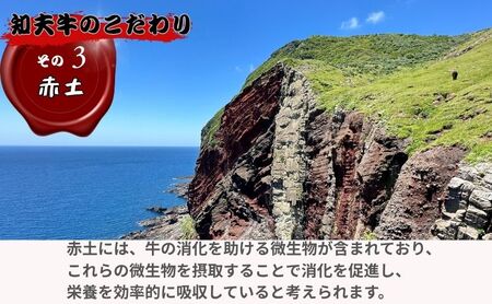 限定10セット【知夫里島】経産牛ヒレステーキ３００g 牛肉 経産牛 放牧 牛ヒレステーキ用 肉 冷凍 ステーキ 赤身