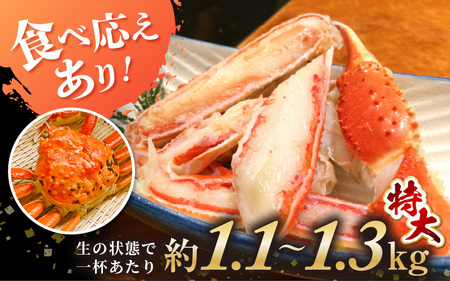 【先行予約】≪浜茹で≫ 天然 越前がに 特大 (茹で前1.1～1.3kg) × 2杯 冷蔵ですので、届いてすぐお召し上がりいただけます！ タグ付 福井を代表する冬の味覚！【2025年11月中旬以降順次