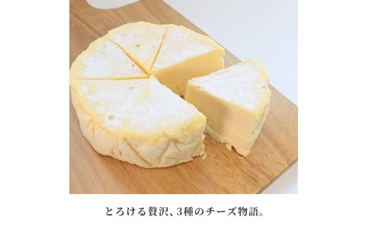 カマンベールチーズケーキ 冷凍 1個 チーズケーキ カマンベール クリームチーズ とろけるチーズ チーズ 焼菓子 洋菓子 とろける まろやか 上品 コク 大人 濃厚 チーズ アイス アイスチーズケーキ