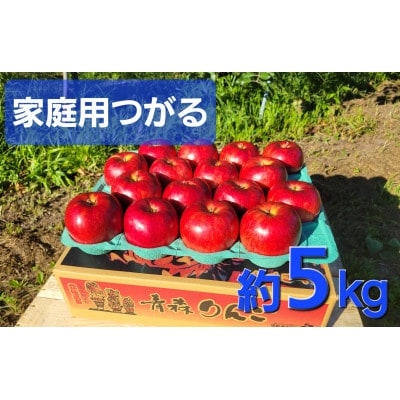 【訳あり】青森県産りんご「サンつがる　家庭用」約5kg　産地直送!