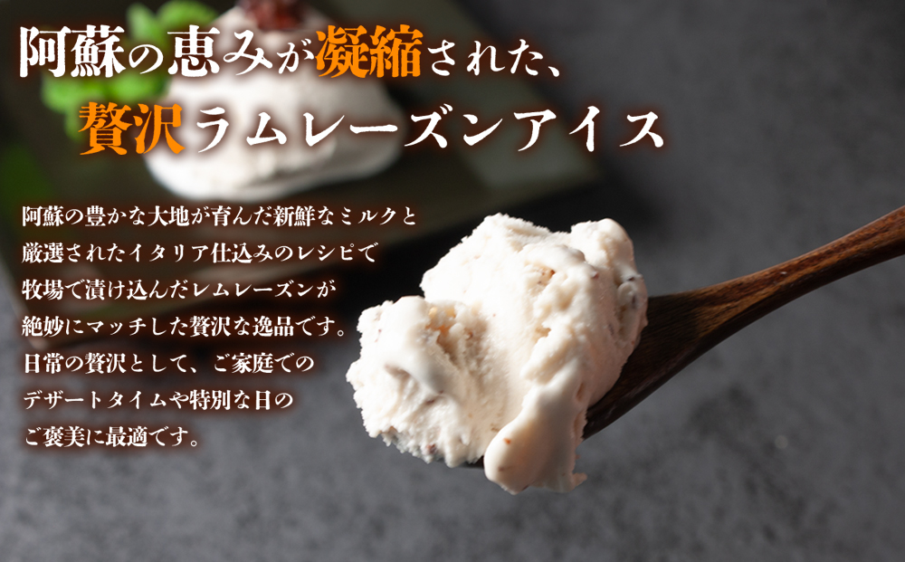 【選べる内容量】阿蘇ミルクアイス ラムレーズン 【2Ｌ】 阿部牧場 ASOMILK ラムレーズン アイス ジェラート ふるさと納税 限定 濃厚 人気 美味しい 贅沢 ご褒美 おすすめ 熊本 阿蘇 2L