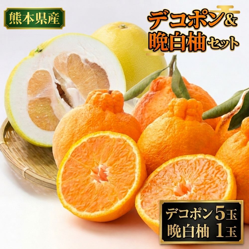【ふるさと納税】デコポン5玉＆晩白柚1玉セット でこぽん デコポン 晩白柚 柑橘 くだもの 果物 果実 フルーツ デザート 贈答 贈り物 ギフト 熊本県産 国産 九州 熊本県 送料無料 【2026年12月上旬発送開始】