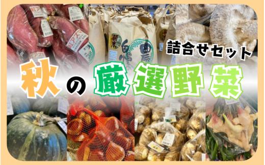 ラポルテ五泉 秋の厳選野菜詰合せセット ( 4～5品種をお届け ) | 野菜 やさい 新潟県 五泉市 まるっと五泉プロジェクトFunSpace株式会社 ( 2025年9月以降順次発送 )