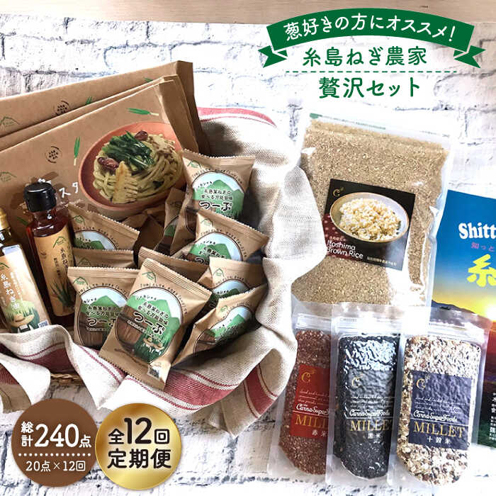 【ふるさと納税】【全12回定期便】糸島ねぎ農家贅沢セット 糸島市 / 株式会社Carna [ALA040] 517000円 50万円 常温