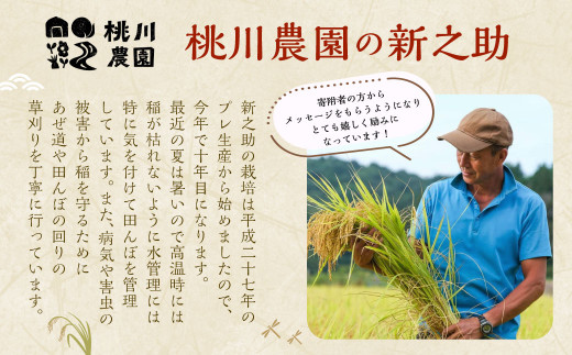 【新米受付・令和8年産米】新潟県村上市産 特別栽培米 新之助 2kg 1040008N