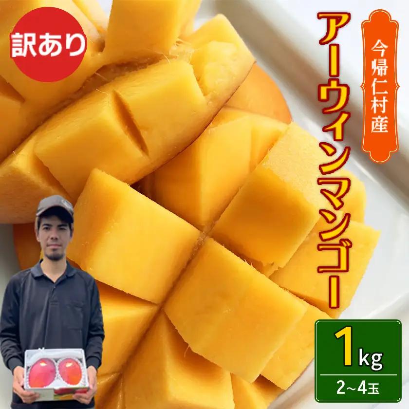 【2026年6月末から順次発送・訳あり】仲本マンゴー園のアーウィンマンゴー1kg(2～4玉)【配送不可地域：離島】【1747516】