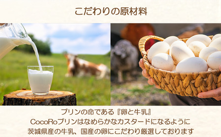 CocoRoプリン6個セット（ギフト包装＋メッセージシール「おつかれさま」）【 茨城県 つくば市 スイーツ お菓子 デザート ギフト プリン プリン プリン プリン プリン 】
