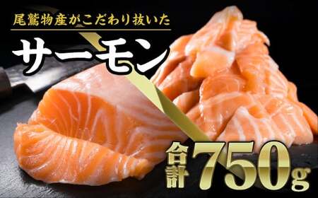 アトランティックサーモンセット（ブロック300g 切り落とし150g×2パック 計600g） 小分け 鮭 国際規格SQF2000 さけ シャケ しゃけ sake カルパッチョ ソテー レアステーキ 贈答 生食用 刺身 お刺身 刺し身 魚介類 海鮮 冷凍 厚切り 薄切り OB-f-22