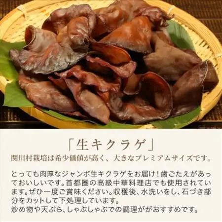 あらかわキクラゲ生・乾燥セット(生キクラゲ220g×2P・乾燥キクラゲ30g×2P) [贈呈用]【配送不可地域：離島】【1442531】