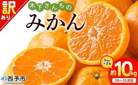 ＜木下さんちのみかん 訳あり 約10kg（2S～2Lサイズ混合）＞ 選べる わけあり 家庭用 柑橘 温州みかん うんしゅうみかん ミカン 蜜柑 果物 くだもの フルーツ 国産 特産品 木下農園 愛媛県 西予市【常温】『2025年11月中旬～12月下旬迄に順次出荷予定』MKS0006