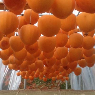 ふるさと納税 山梨市 山梨市産高級干し柿・枯露柿約800g(12〜16個入)生産者直送! |  | 02