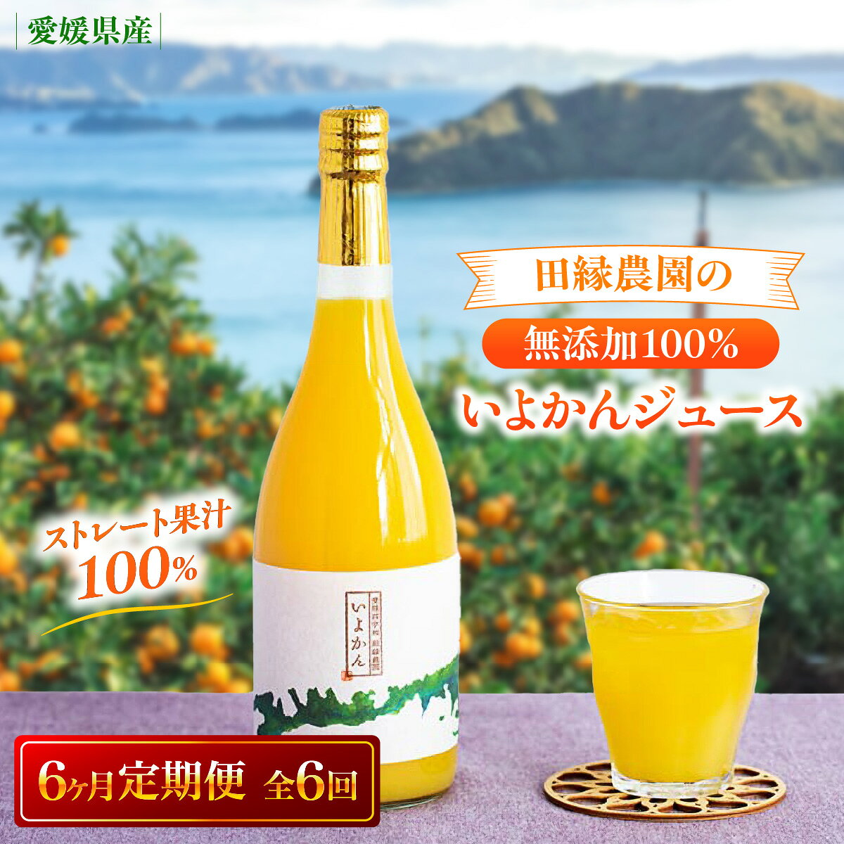 【ふるさと納税】【6ヶ月定期便】田縁農園 いよかんジュースセット 全6回【ふるさと納税 人気 おすすめ ランキング ジュース みかんジュース オレンジジュース 伊予柑 フルーツジュース フルーツ 果物 セット 詰合せ 贈り物 贈答 ギフト 愛媛県 伊方町 送料無料】 IKTA055